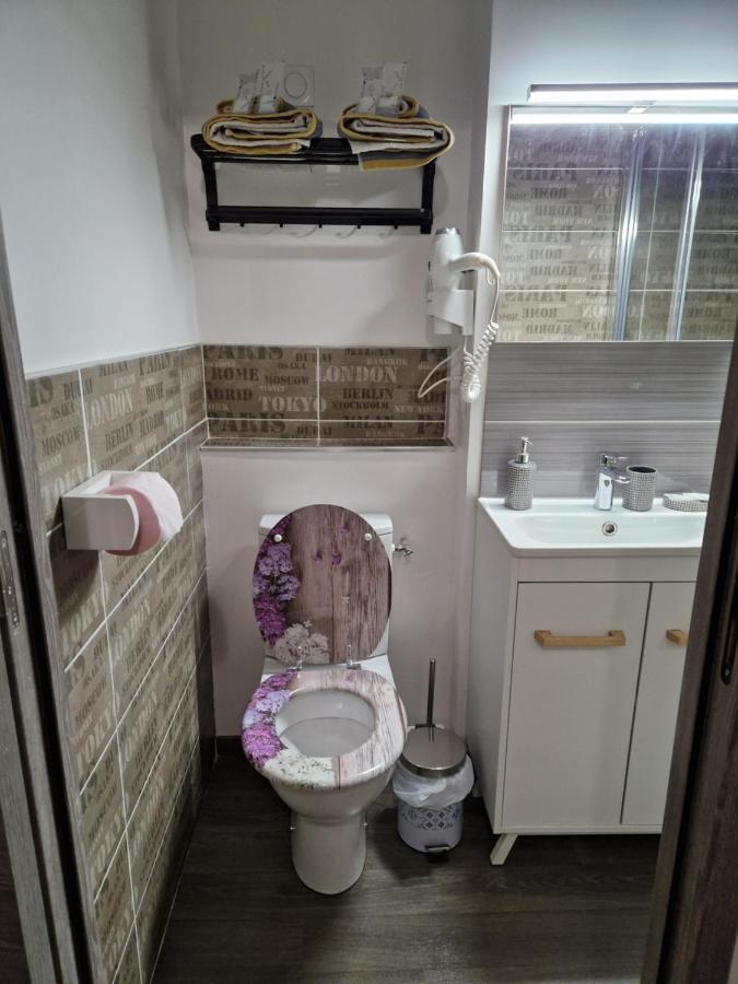 Studio Meuble Au Rdc , Proche Lac إيكس ليه با المظهر الخارجي الصورة